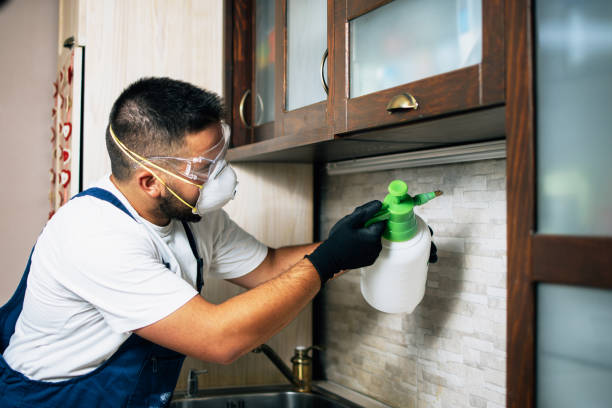 Best Pest Control Treatment  in Hooks, TX