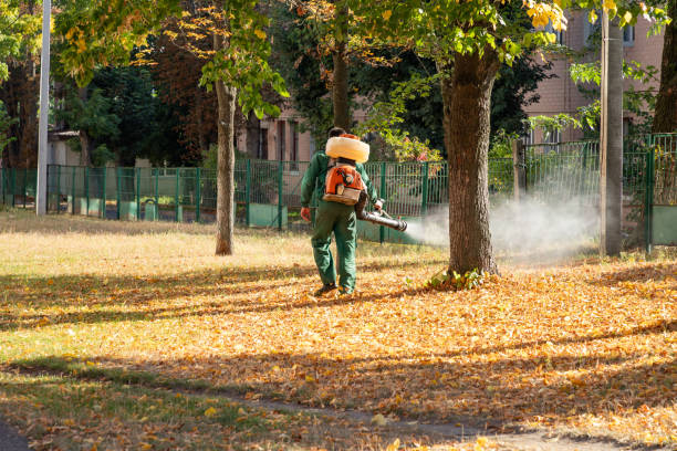 Best Pest Inspection Near Me  in Hooks, TX